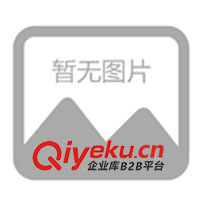 供應印制電路板、硅片、晶片、元器件超聲波清洗設備(圖)